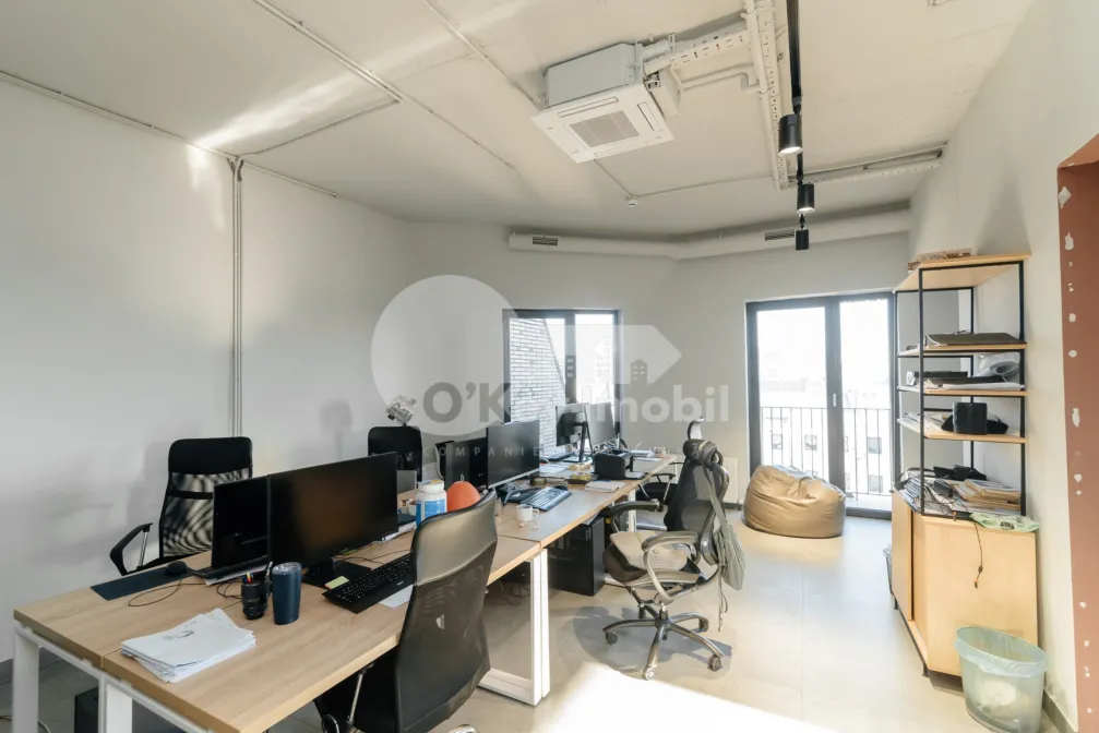 Oficiu, Centru, VERONICA MICLE