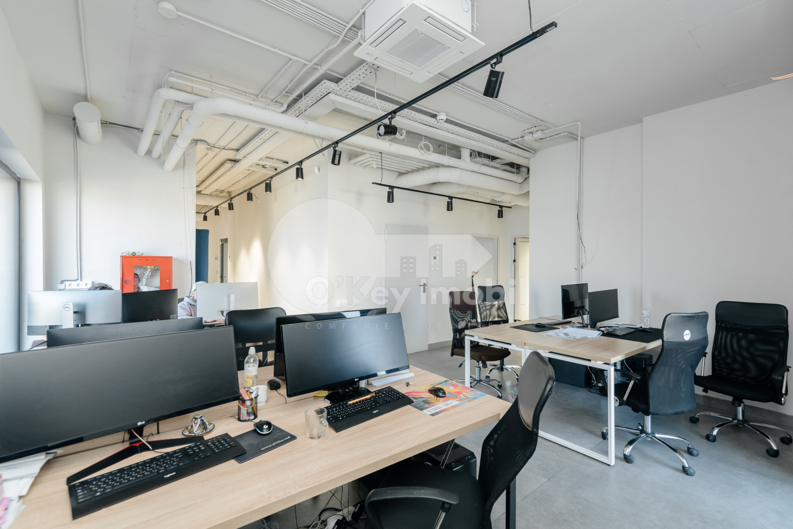 Oficiu, Centru, VERONICA MICLE