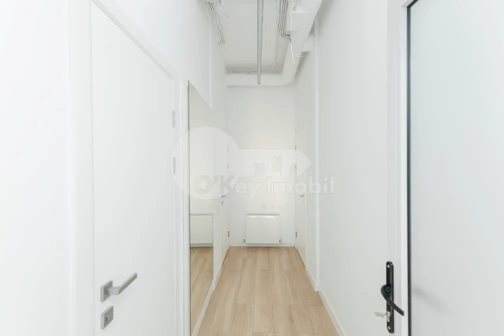 Oficiu, Centru, VERONICA MICLE