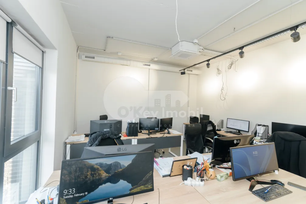 Oficiu, Centru, VERONICA MICLE