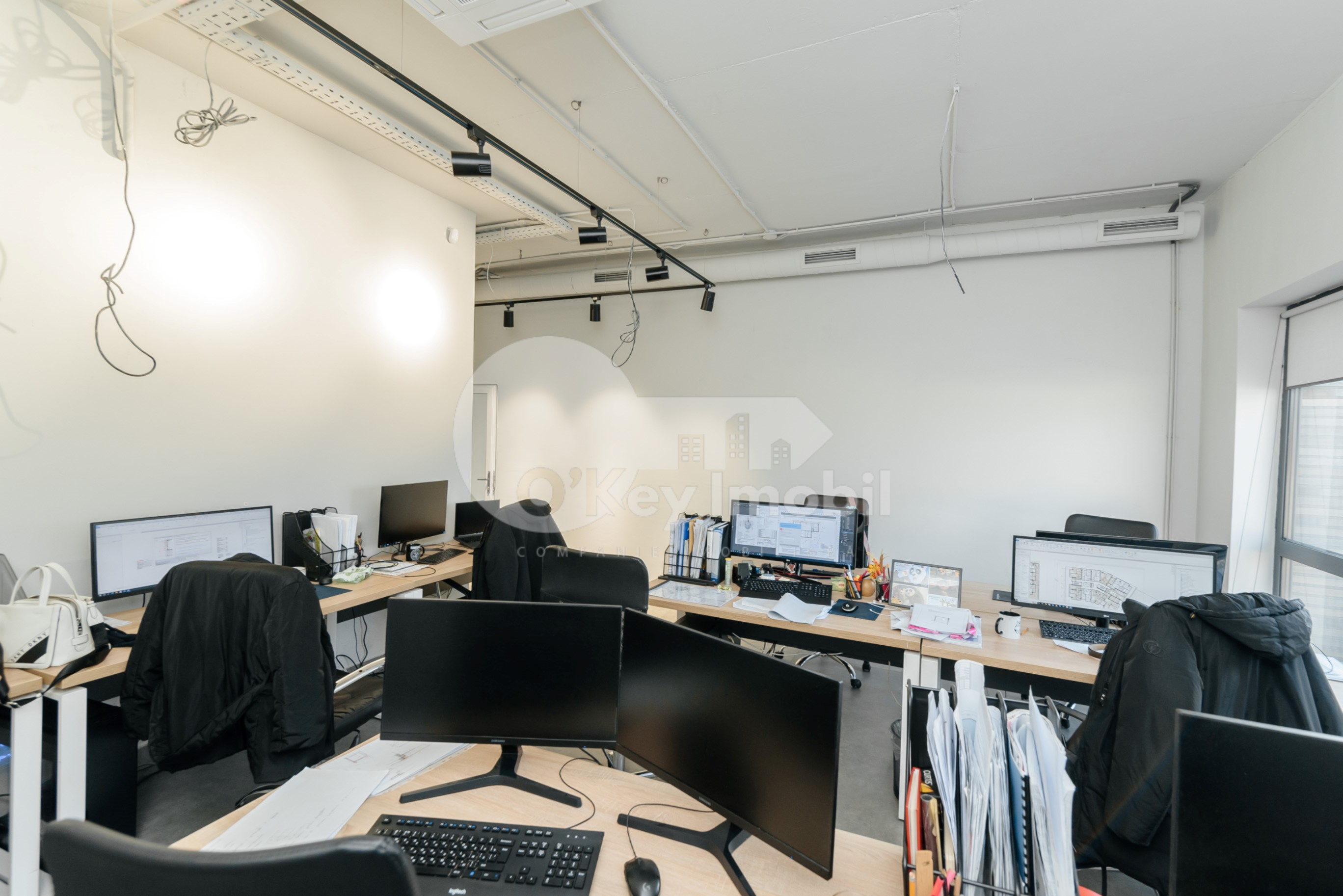 Oficiu, Centru, VERONICA MICLE