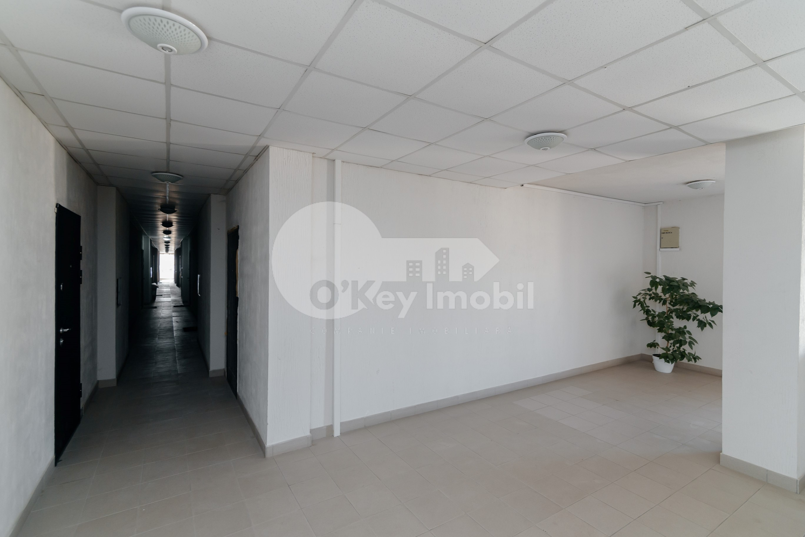 Apartament, Buiucani, SUCEVIȚA