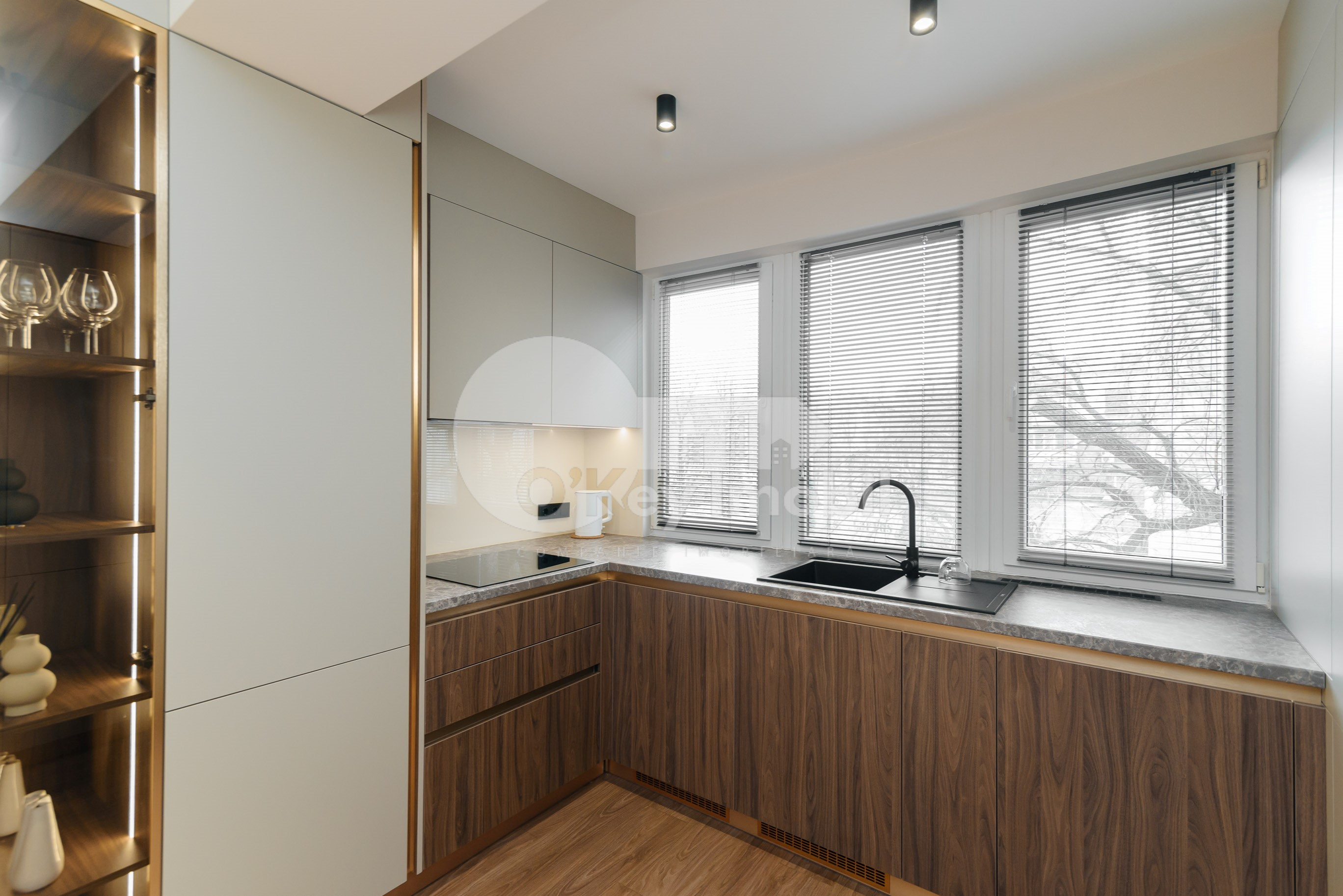 Apartament, Telecentru, GHEORGHE ASACHI