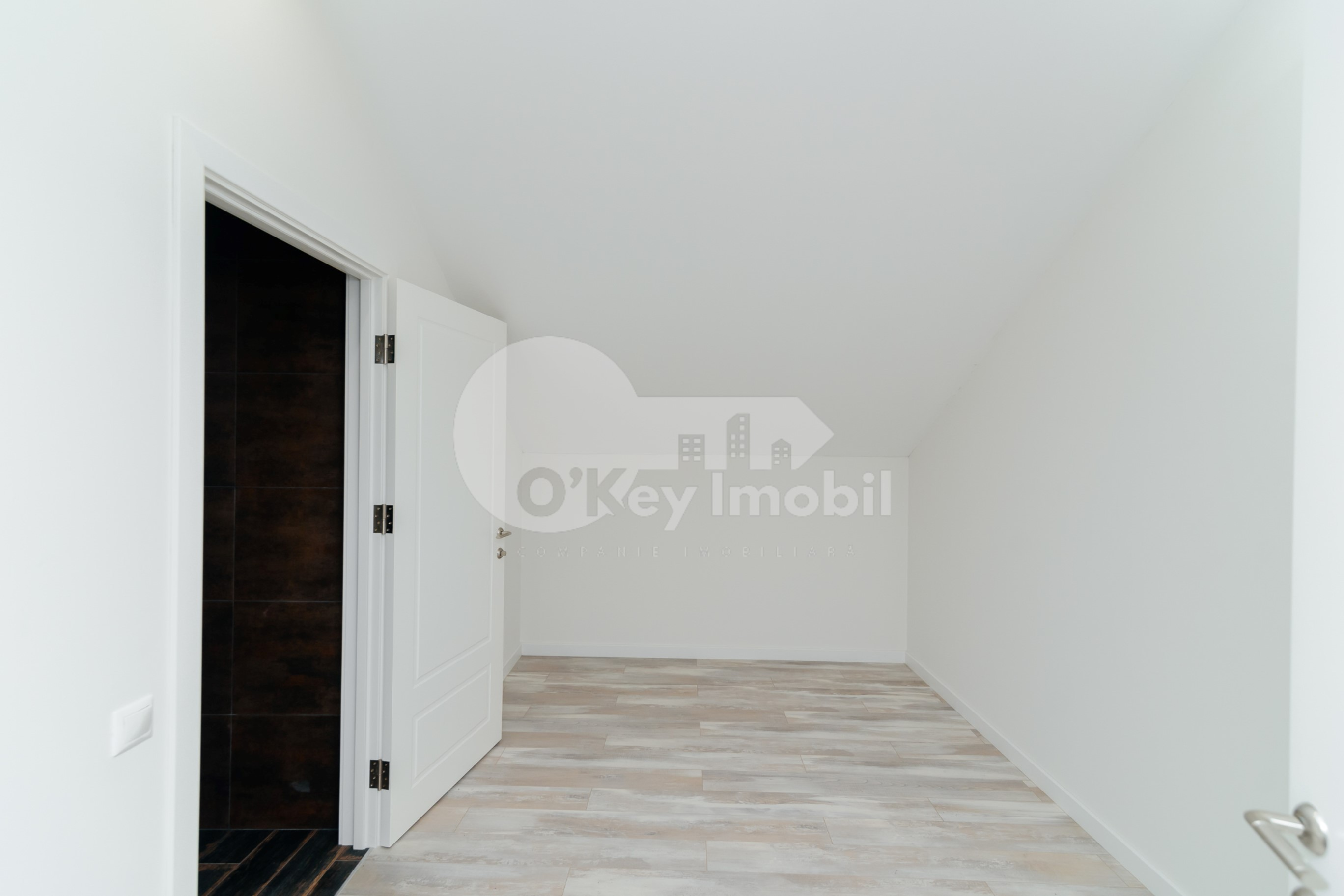 Oficiu, Centru, SFATUL ȚĂRII