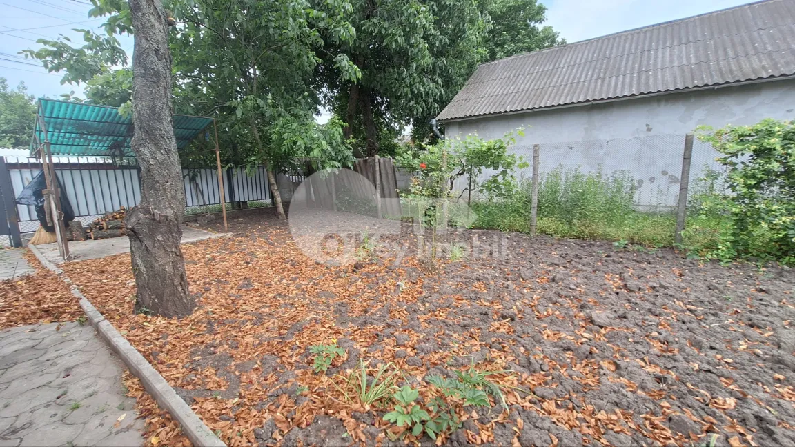 Casă, Telecentru, SFÂNTA VINERI