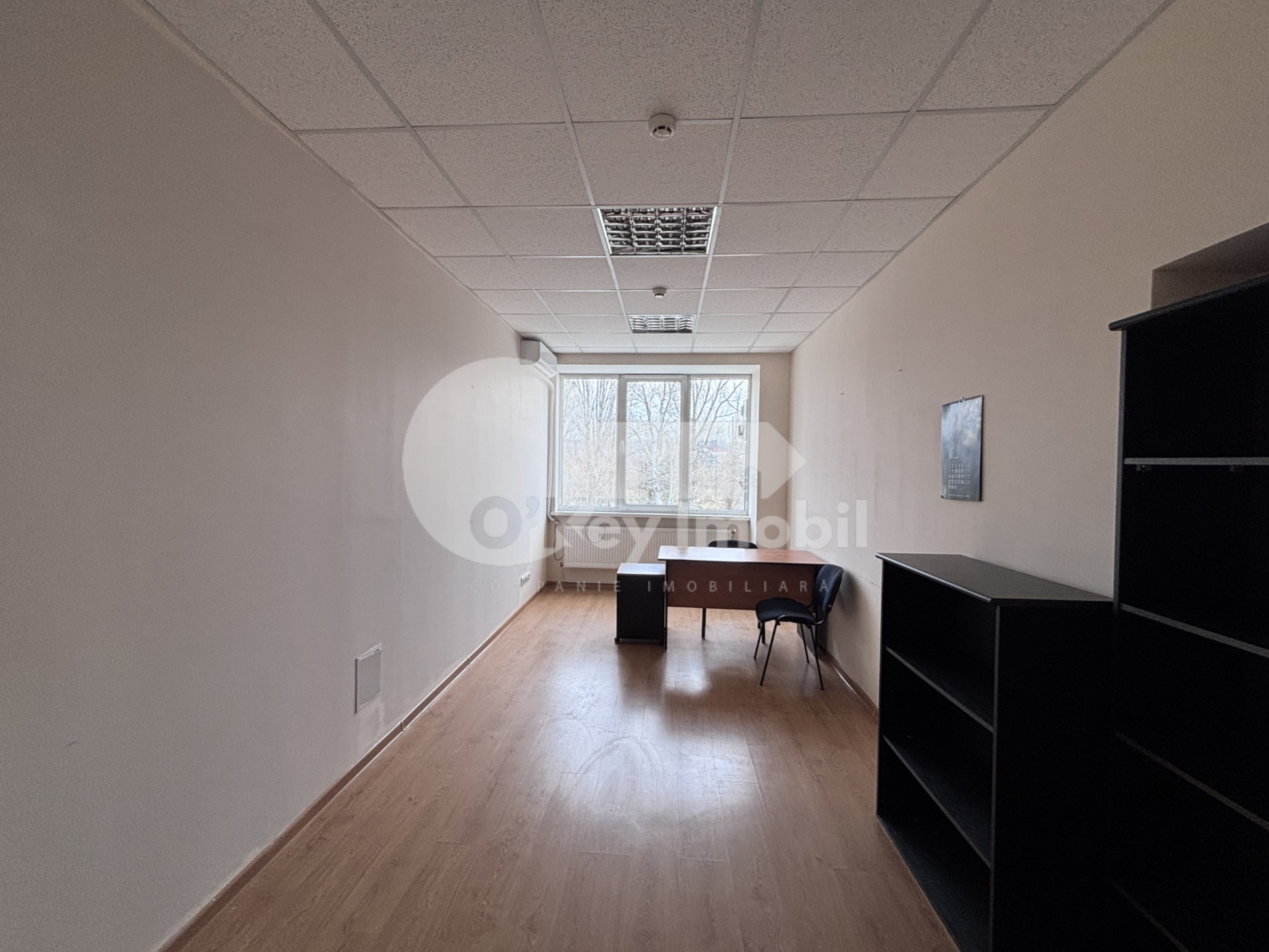 Oficiu, Buiucani, COLUMNA