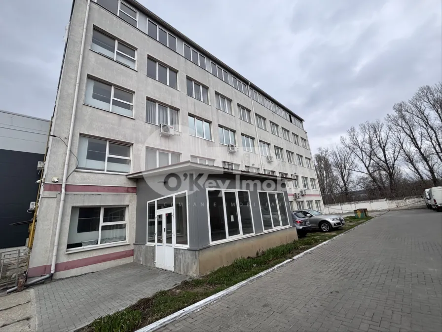 Офис, Буюканы, КОЛУМНА