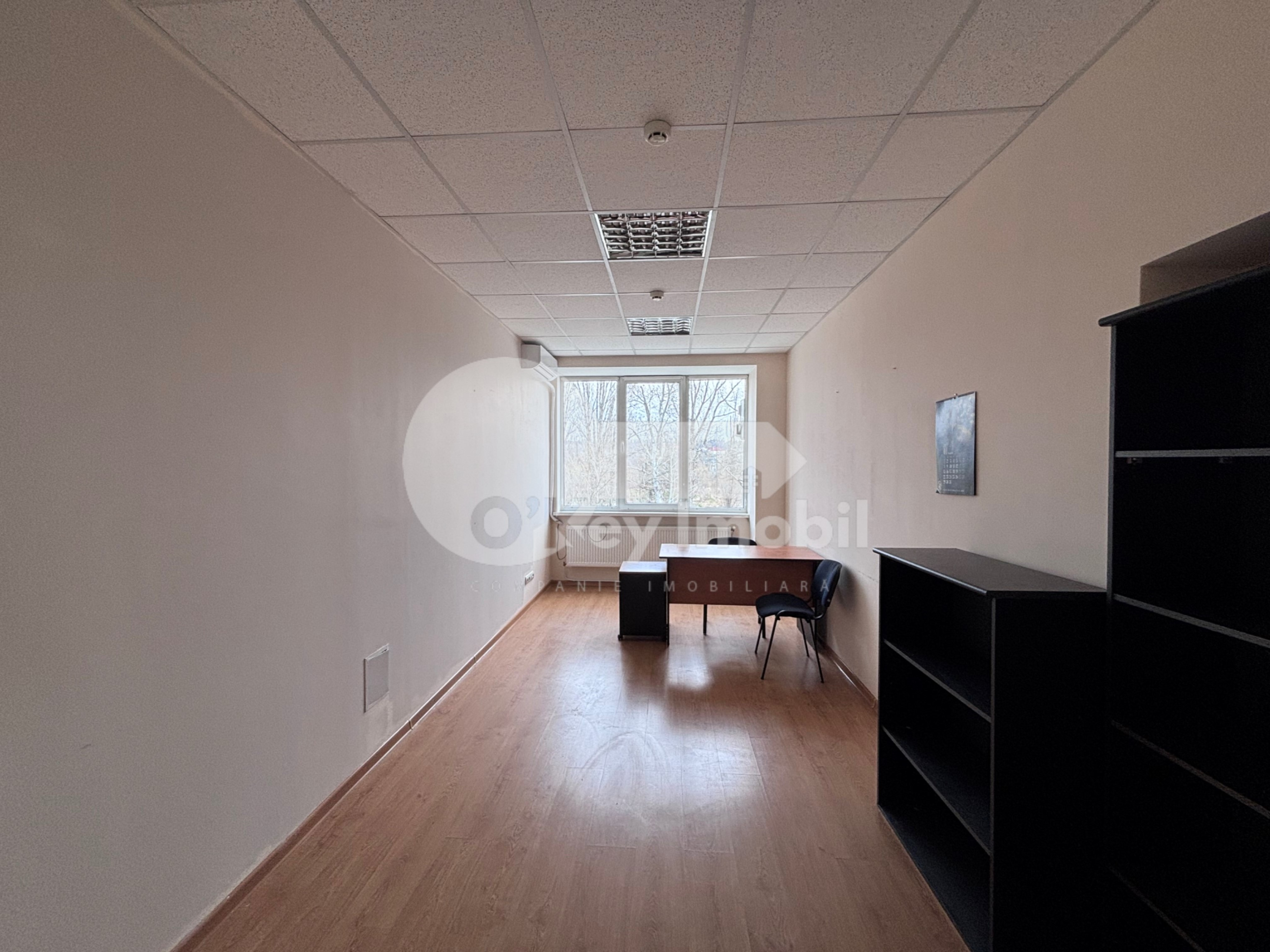 Oficiu, Buiucani, COLUMNA