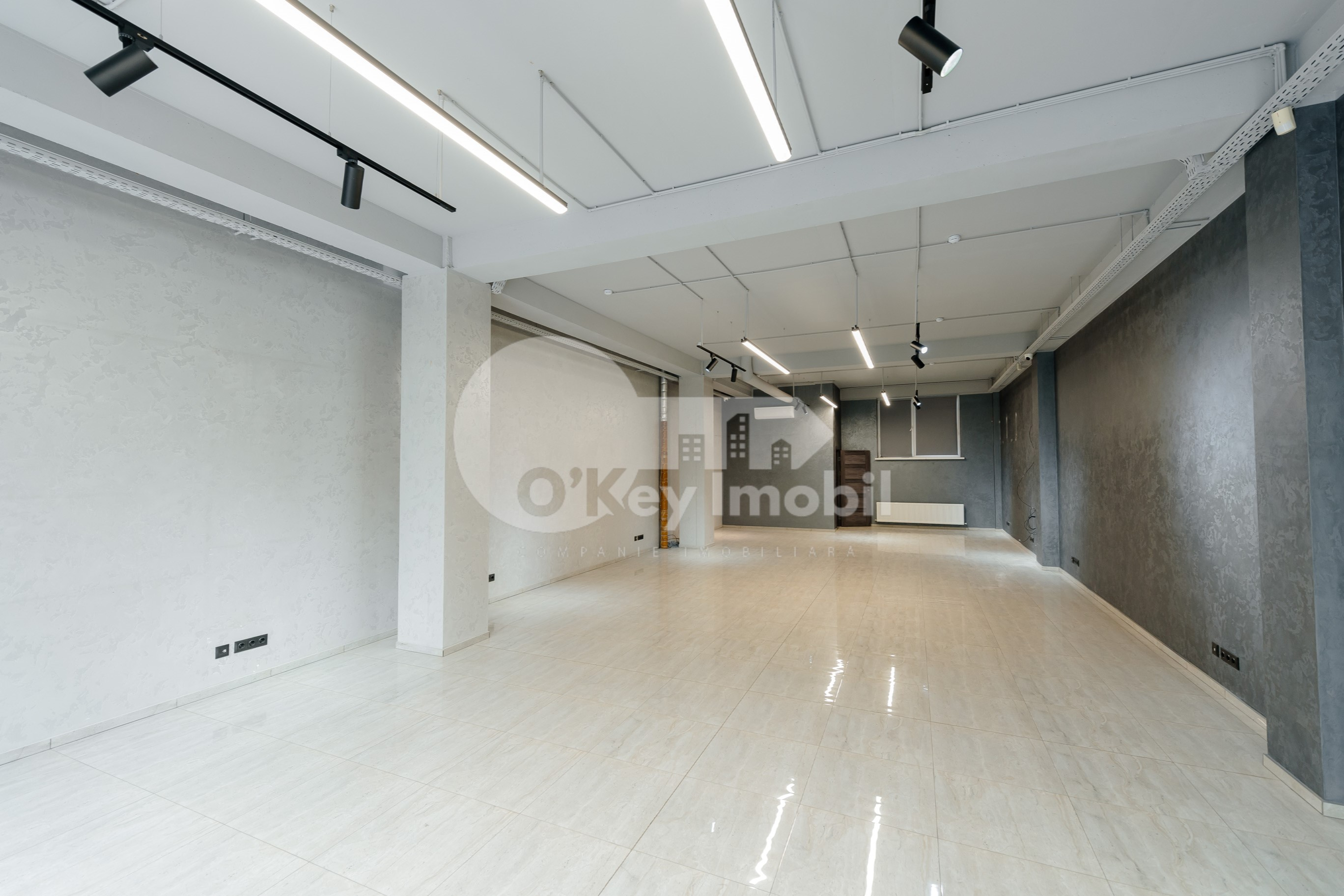 Spațiu comercial, Botanica, TRANDAFIRILOR