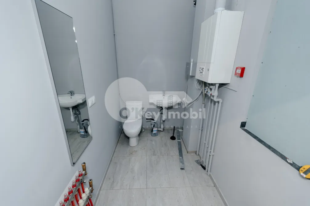 Комм. помещение, Ботаника, ТРАНДАФИРИЛОР