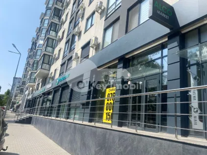 Комм. помещение, Ботаника, ТРАНДАФИРИЛОР