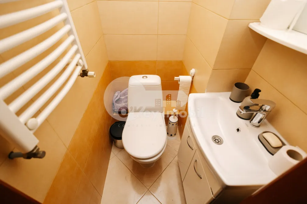 Квартира, Центр, СФЫНТУЛ АНДРЕЙ