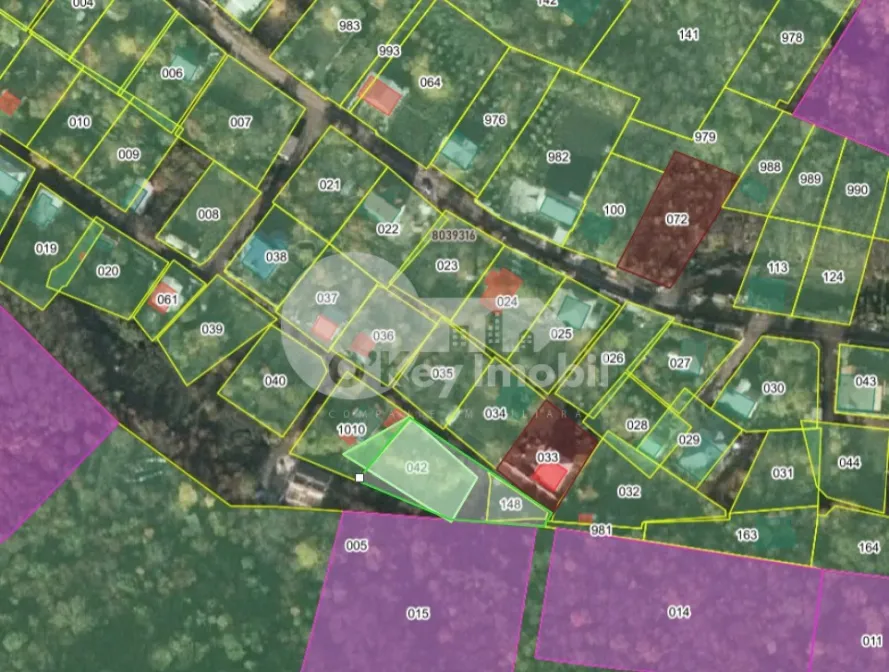 Земельный участок, ТРУШЕНЫ