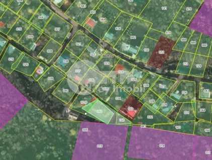 Земельный участок, ТРУШЕНЫ