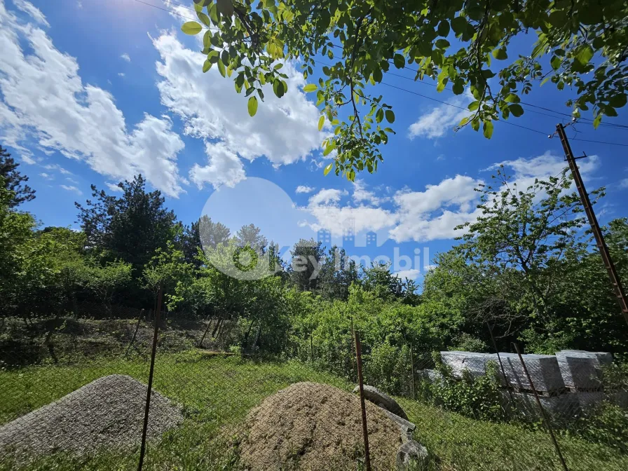 Земельный участок, ТРУШЕНЫ