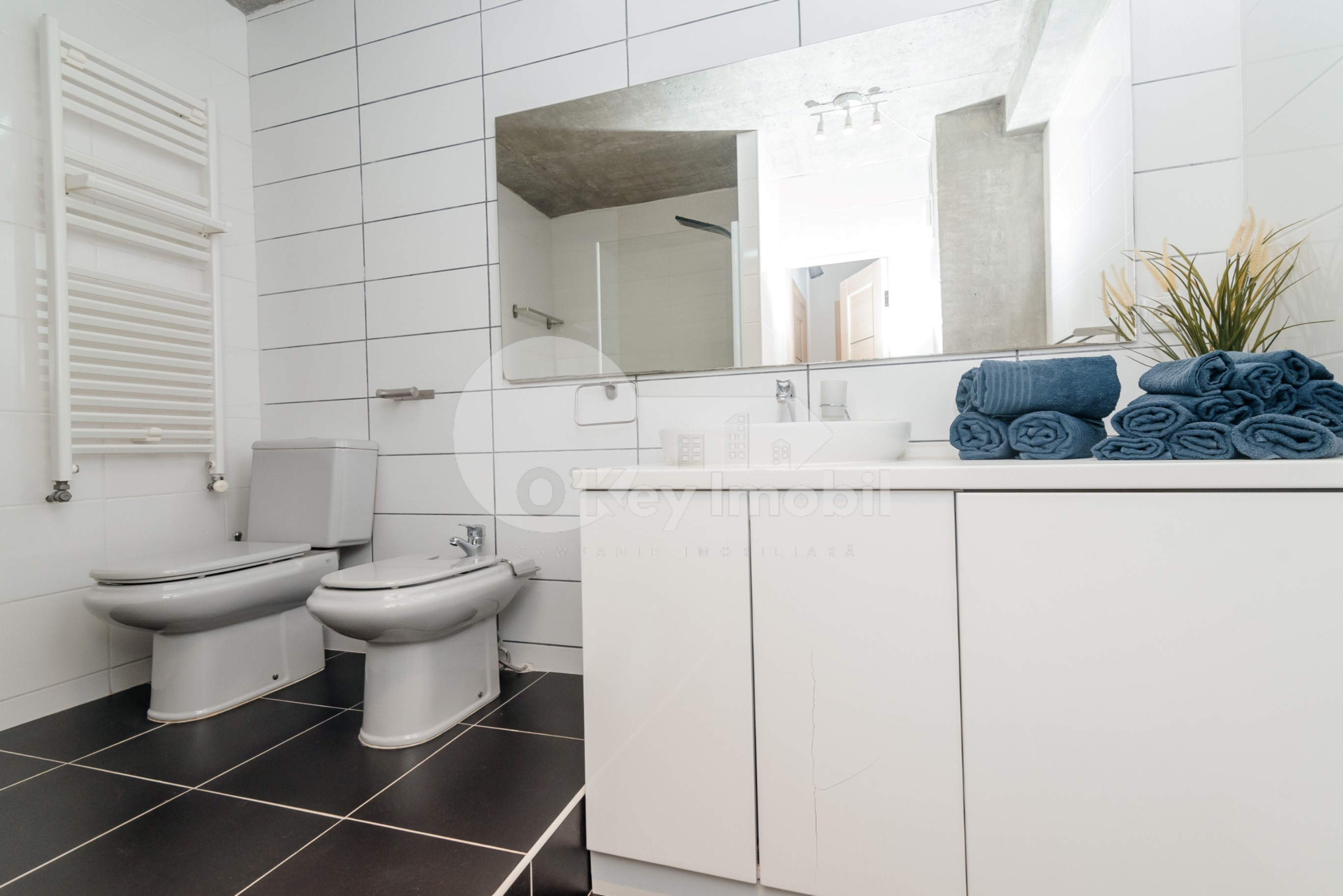 Apartament, Botanica, CUZA VODĂ