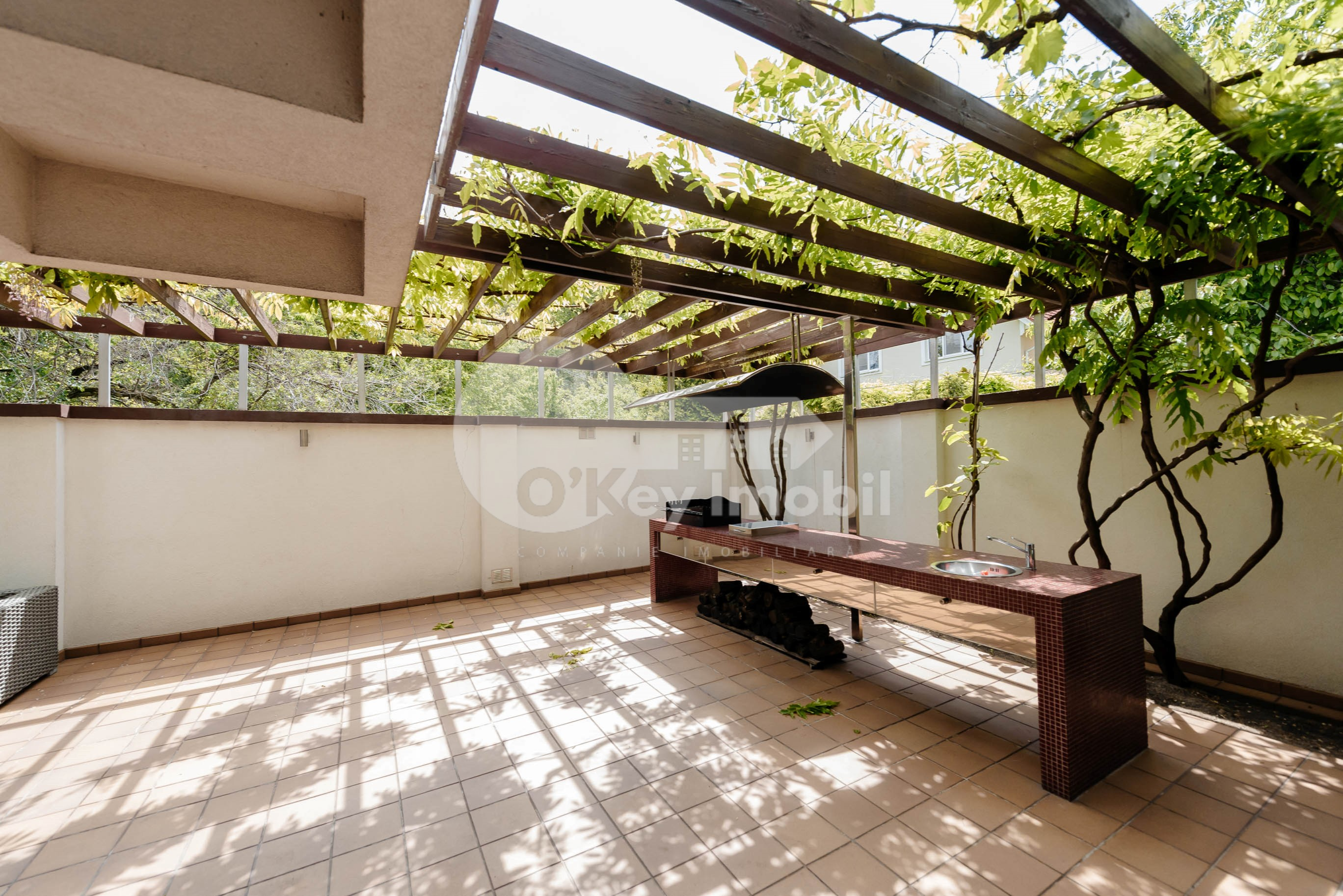 Casă, Telecentru, GHEORGHE ASACHI