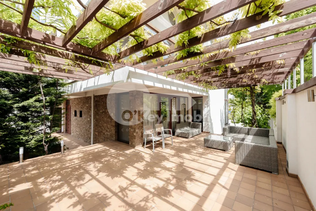 Дом, Телецентр, ГЕОРГЕ АСАКИ