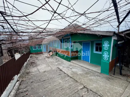 Дом, МОЛЕШТЬ