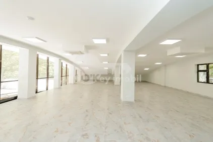 Комм. помещение, Ботаника, ИНДЕПЕНДЕНЦЕЙ