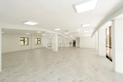 Комм. помещение, Ботаника, ИНДЕПЕНДЕНЦЕЙ