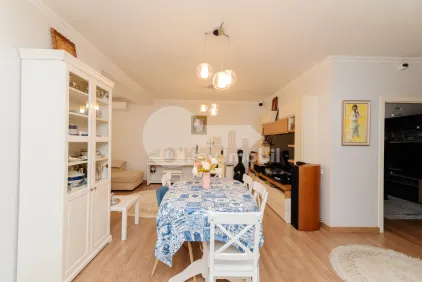 Квартира, Центр, Н. ТЕСТЕМИЦАНУ