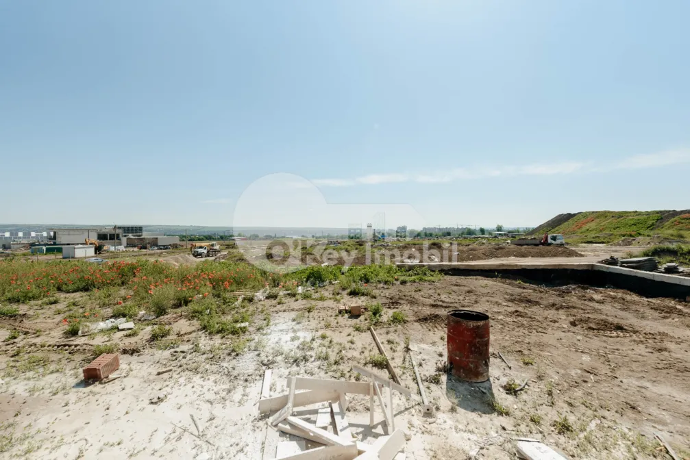 Дом, Ботаника, ДАЧИЯ