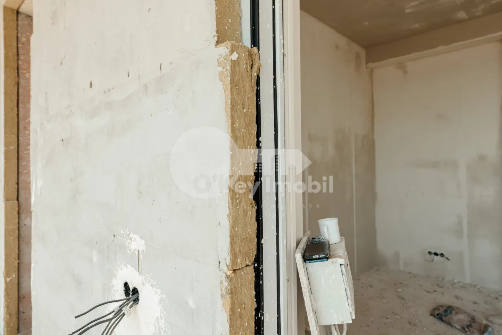 Дом, Ботаника, ДАЧИЯ