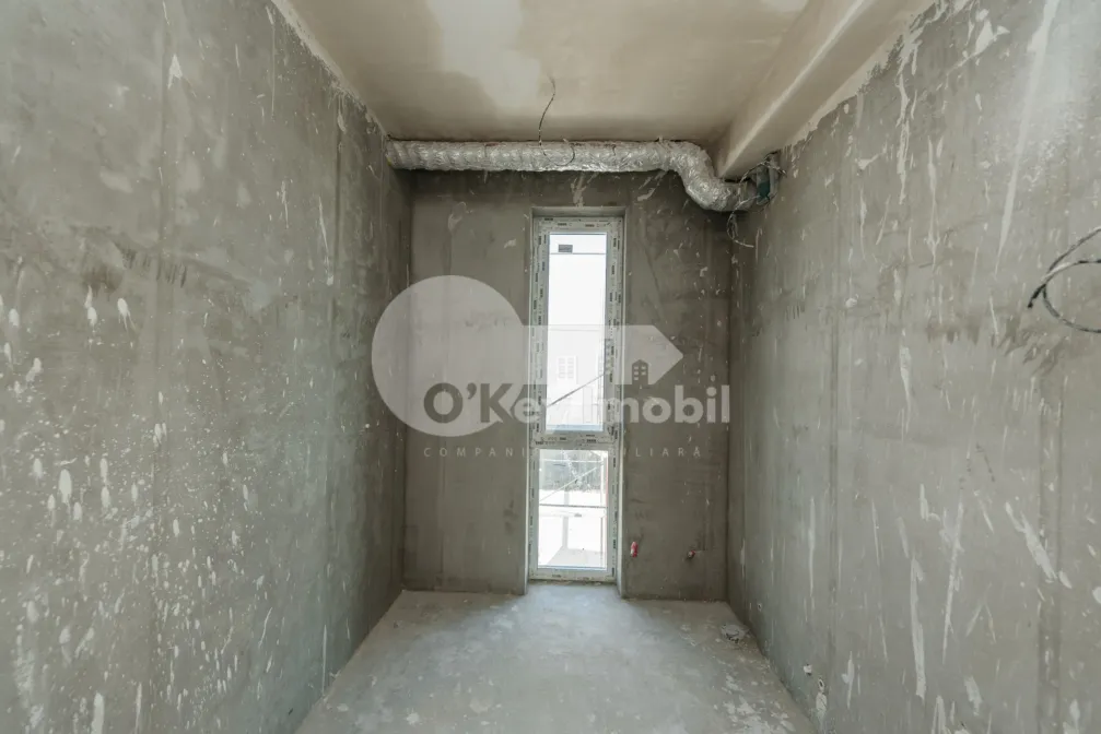 Дом, Ботаника, ДАЧИЯ