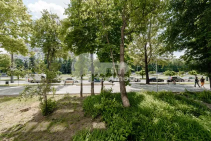 Квартира, Ботаника, ДАЧИЯ