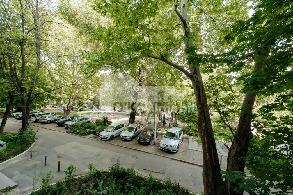 Квартира, Ботаника, ДАЧИЯ