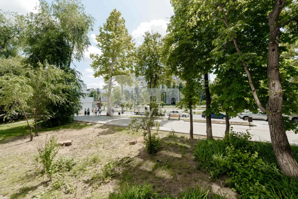 Квартира, Ботаника, ДАЧИЯ