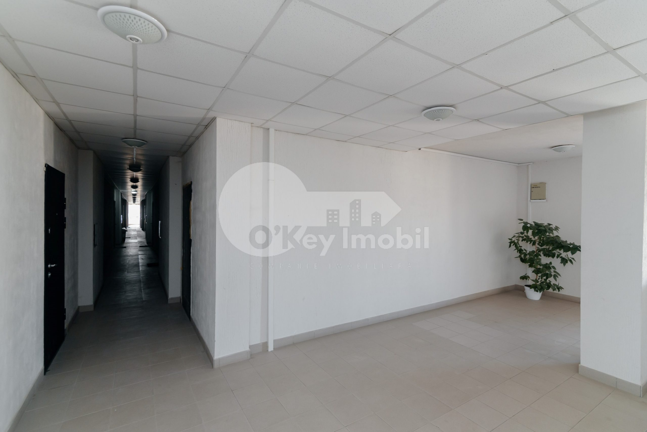 Apartament, Buiucani, SUCEVIȚA