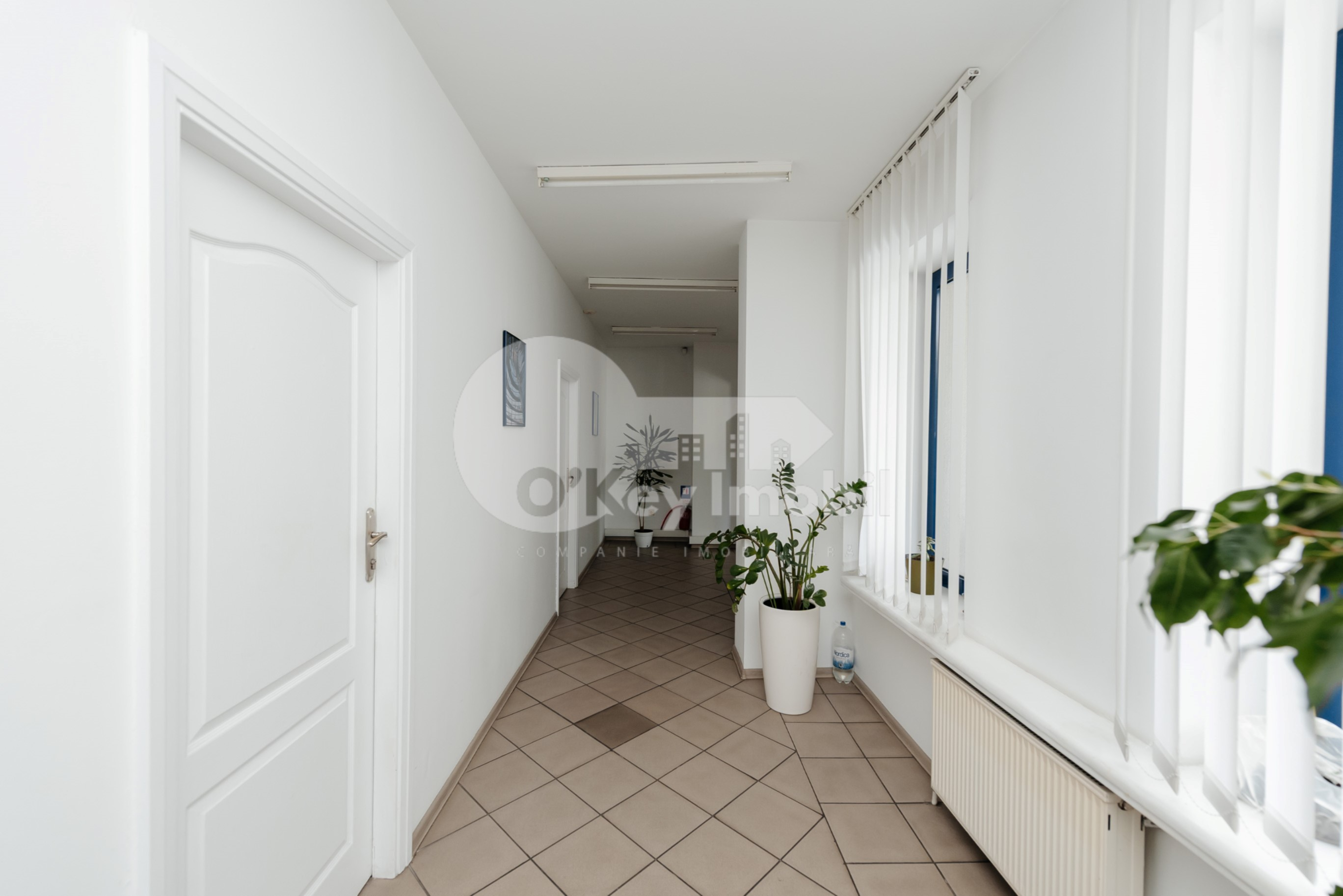 Oficiu, Centru, ALEXANDRU CEL BUN