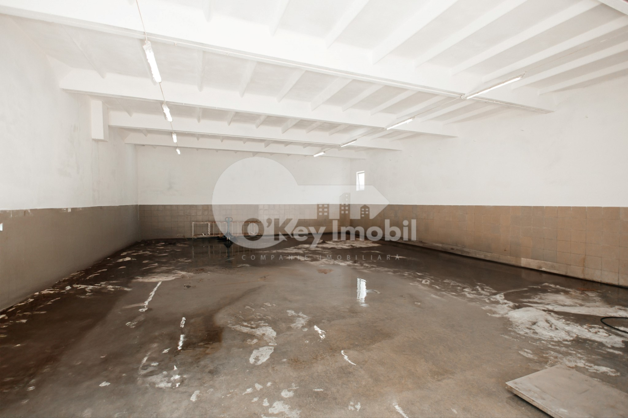 Depozit, Botanica, HALTEI