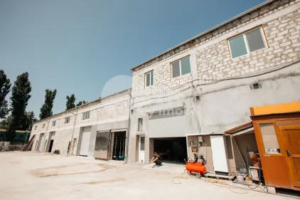 Склад, Ботаника, ХАЛТЕЙ