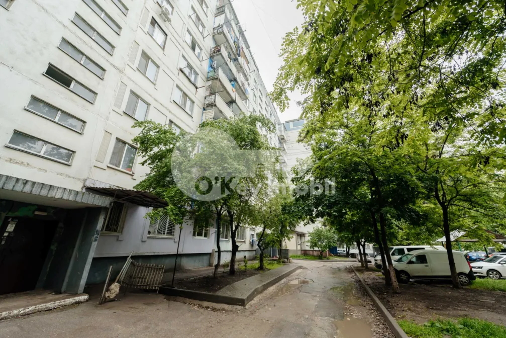 Квартира, Ботаника, ИНДЕПЕНДЕНЦЕЙ