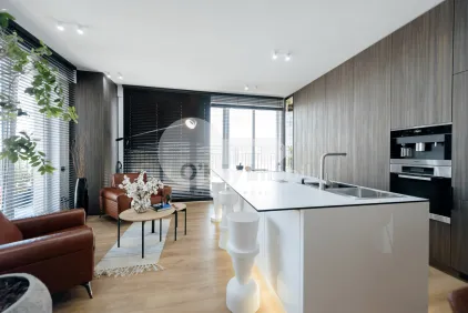 Пентхаус, Чеканы, МИРЧА ЧЕЛ БЭТРЫН