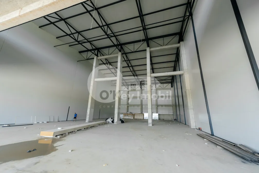 Склад, Ботаника, ДАЧИЯ