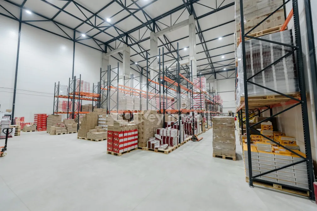 Склад, Ботаника, ДАЧИЯ