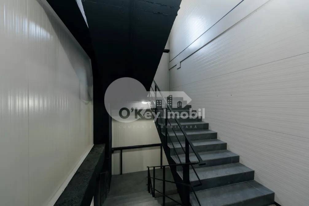 Склад, Ботаника, ДАЧИЯ