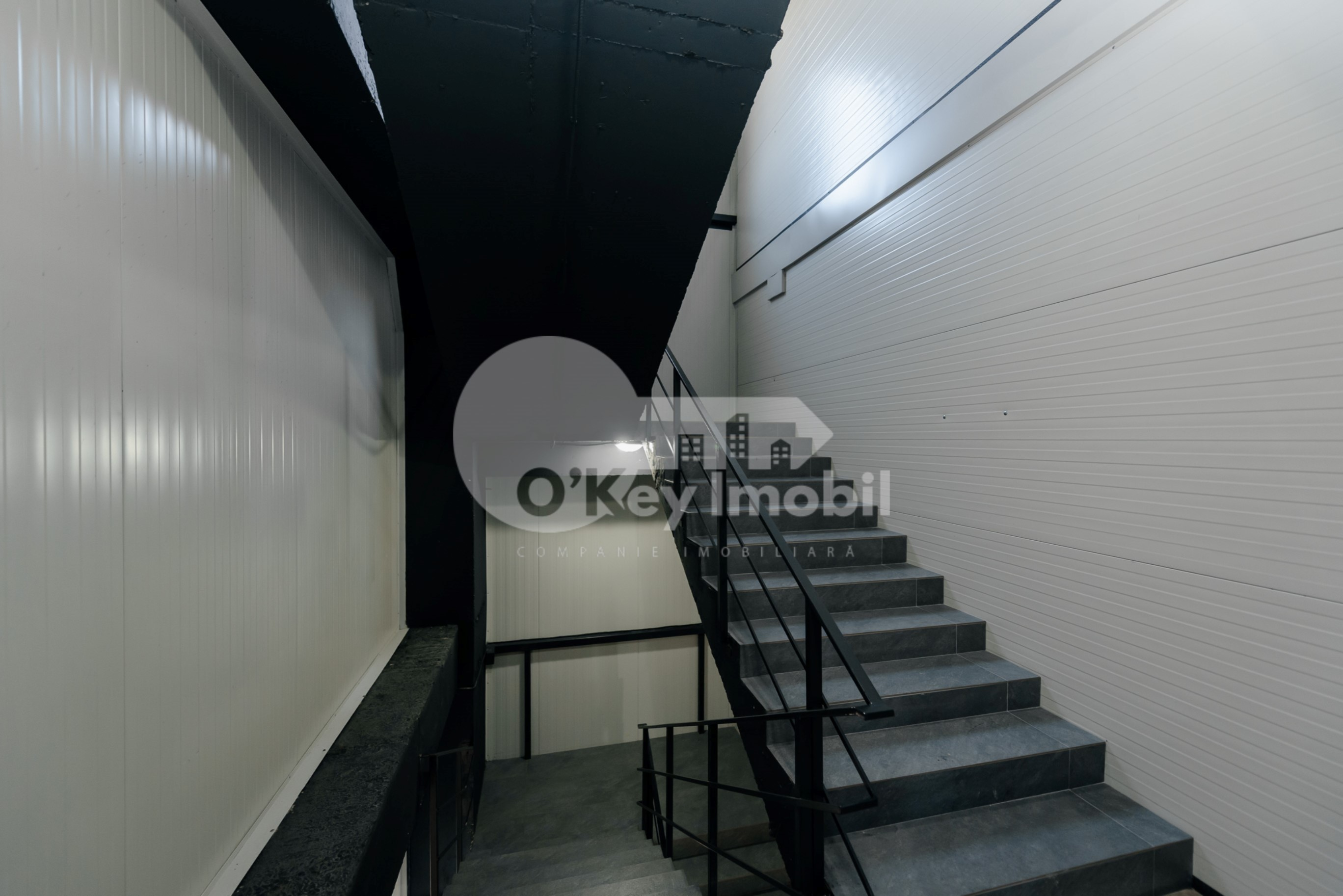 Depozit, Botanica, DACIA