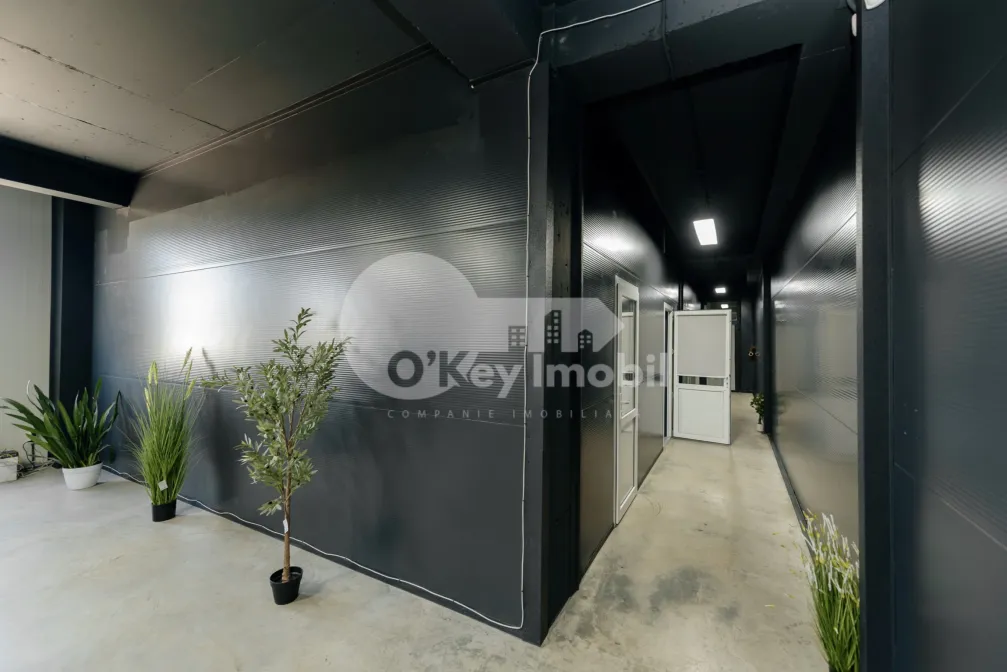 Склад, Ботаника, ДАЧИЯ