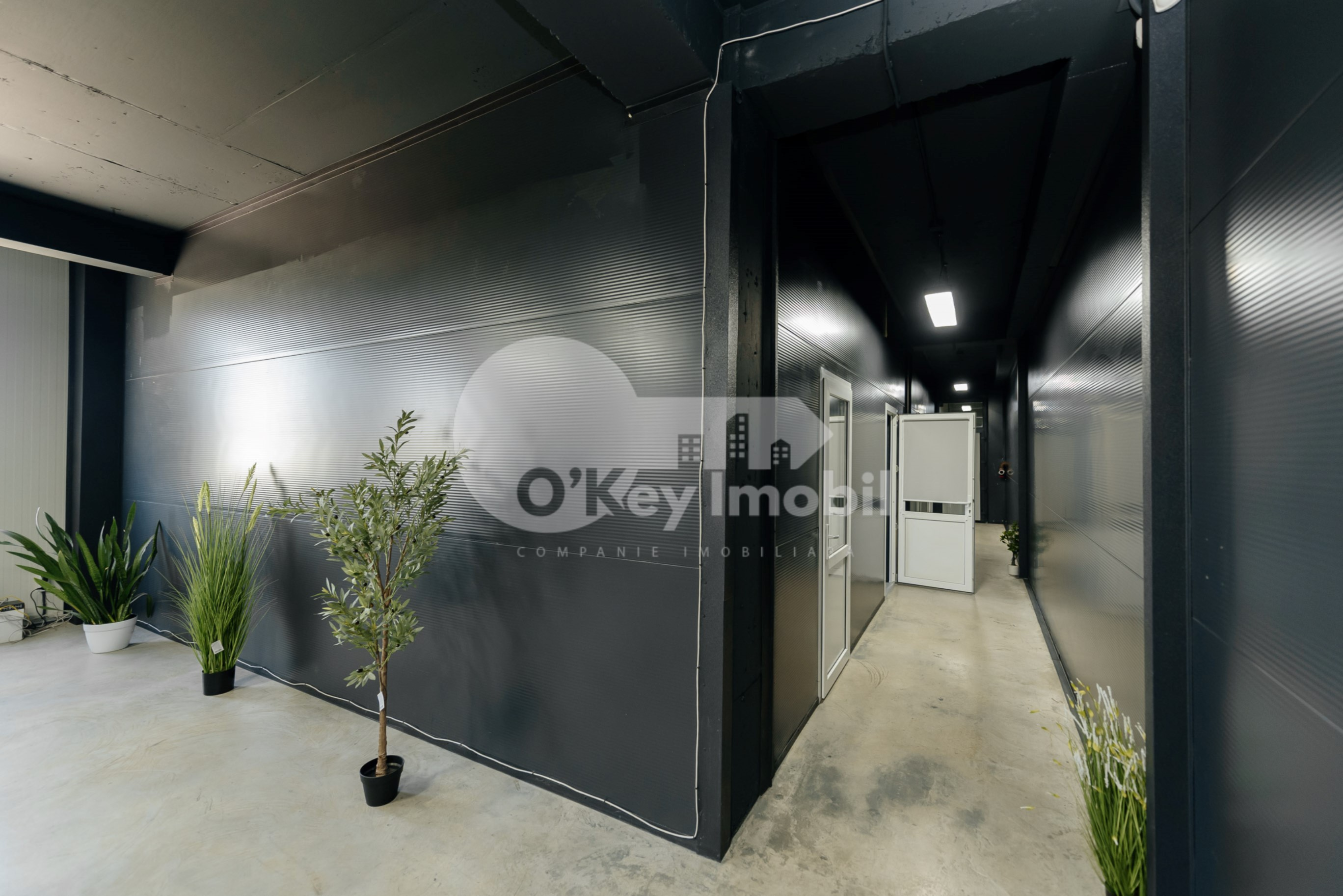 Depozit, Botanica, DACIA