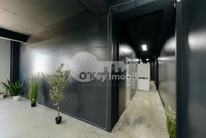 Склад, Ботаника, ДАЧИЯ