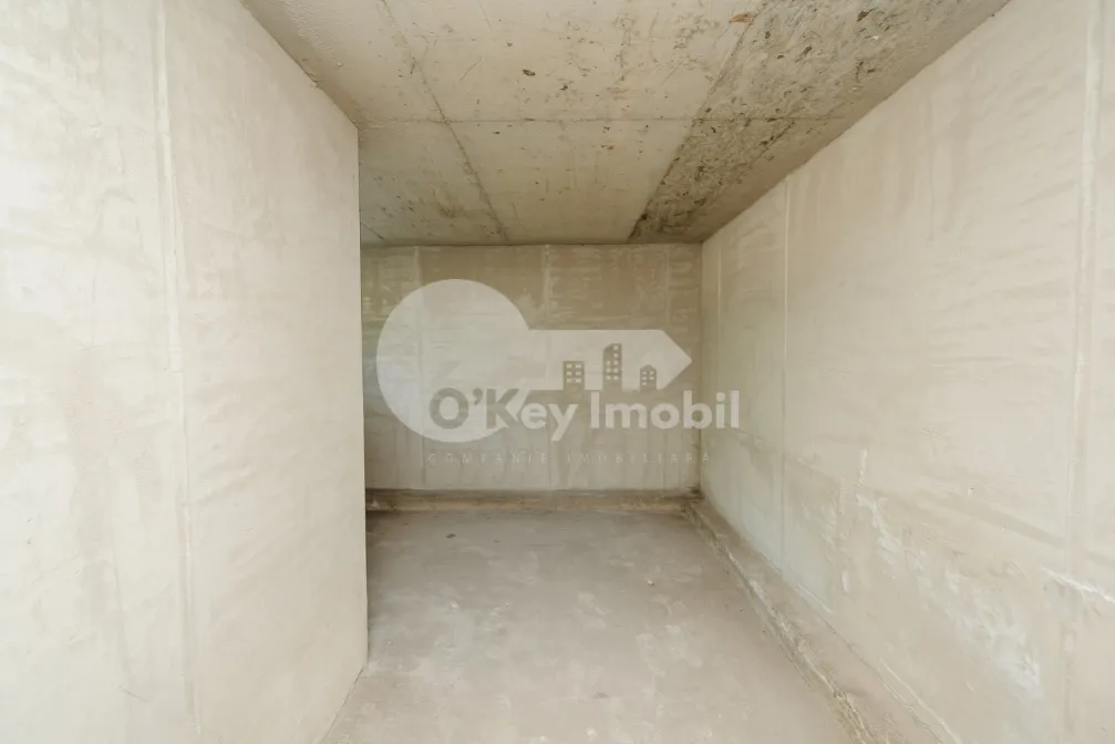 Комм. помещение, Центр, АЛЕКСАНДРУ ЛЭПУШНЯНУ