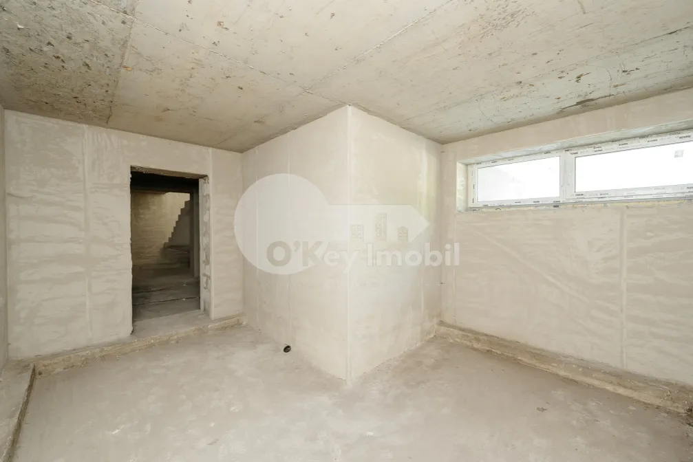 Комм. помещение, Центр, АЛЕКСАНДРУ ЛЭПУШНЯНУ