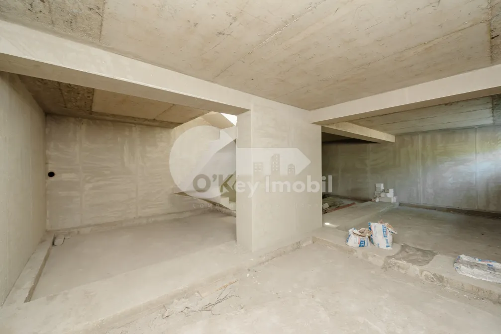 Комм. помещение, Центр, АЛЕКСАНДРУ ЛЭПУШНЯНУ