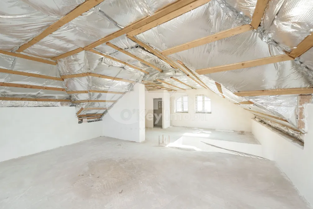 Комм. помещение, Центр, АЛЕКСАНДРУ ЛЭПУШНЯНУ