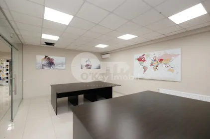 Офис, Ботаника, ДЕЧЕБАЛ